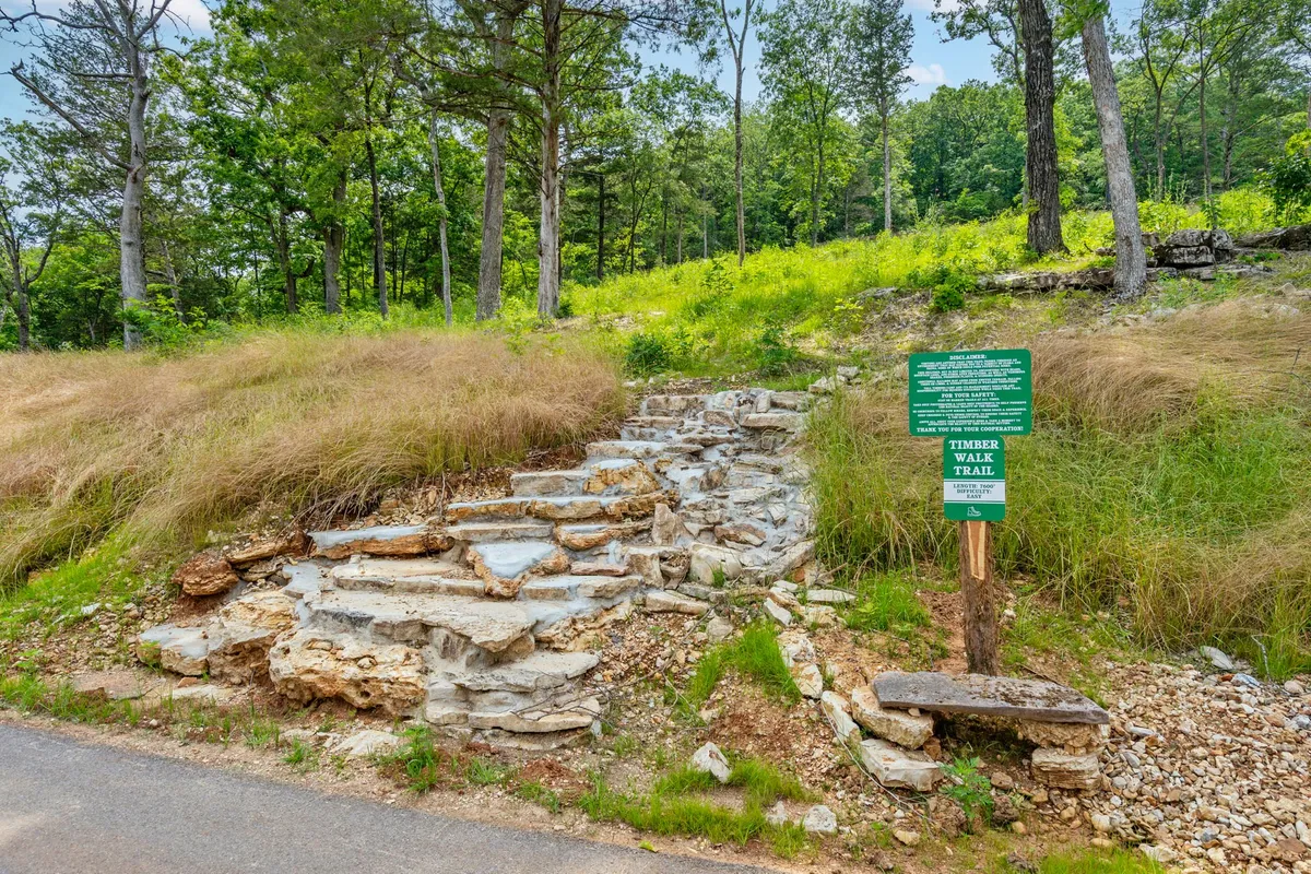 Stone steps lead up through lush greenery to a rustic trail sign, marking the start of a woodland path. The surroundings are dense with native plants and trees, evoking an adventurous spirit and a sense of discovery.